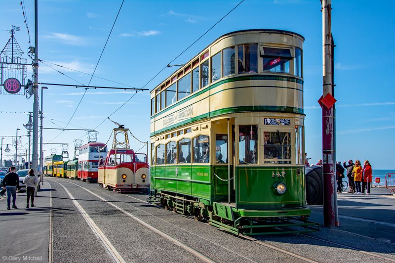 Jubilee Tram Parade