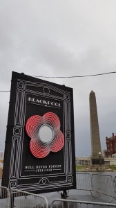 Main image for Knitted poppy wreath adds to Remembrance collection article