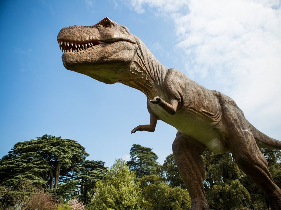 Main image for National Dinosaur Tour Heads To Blackpool article