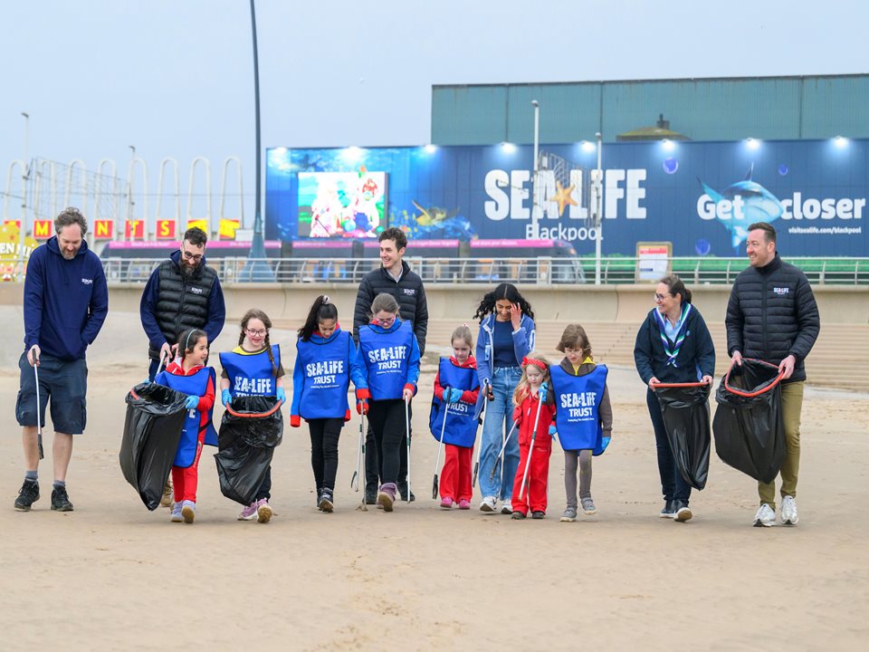 Main image for Blackpools Biggest Ever Beach Clean article