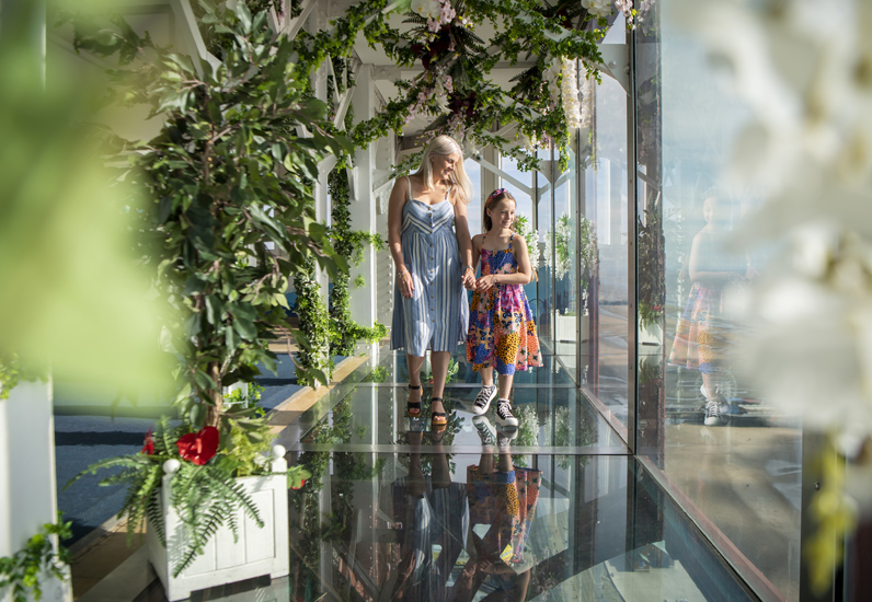 Main image for Blackpool Tower blooms with garden in the sky article