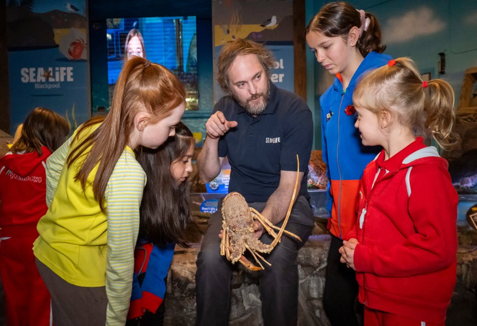 Main image for SEA LIFE Blackpool Announce New Partnership article