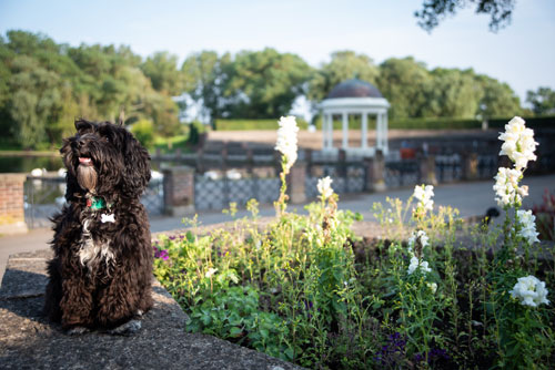 Betty at Stanley Park