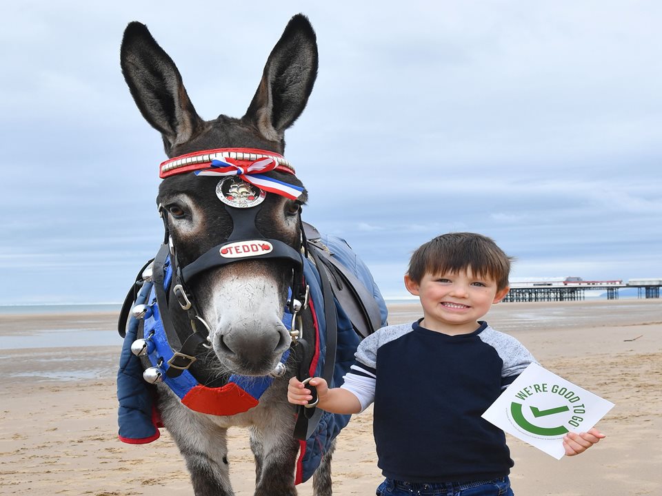 Main image for Blackpool: We’re Good to Go, Donkeys and All! article