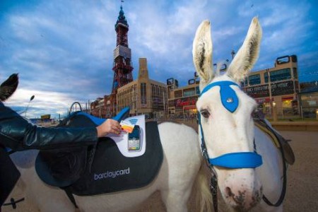 Main image for Cashless Donkey rides come to Blackpool Beach article