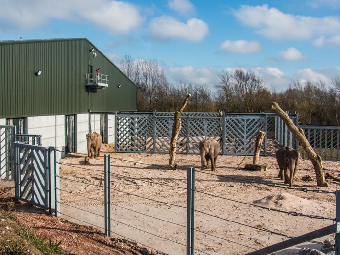 Project Elephant Base Camp Blackpool Zoo