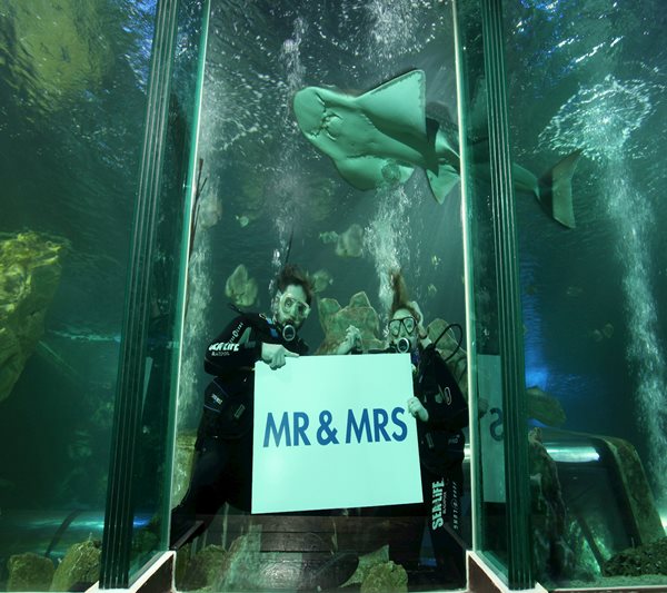 blackpool weddings SEALIFE Blackpool 2017