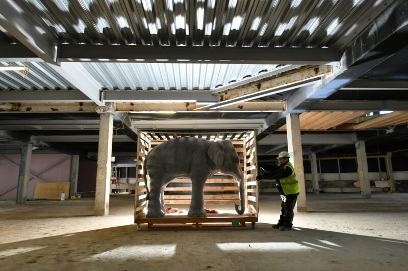 Main image for Elephant Arrives At Showtown Museum article