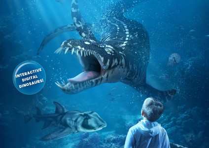 Main image for DIVE INTO THE JURASSIC SEAS article