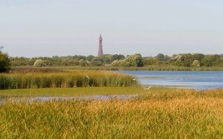 Marton Mere Local Nature Reserve