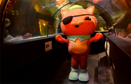 Main image for Octonauts On Tour at SEA LIFE Blackpool article