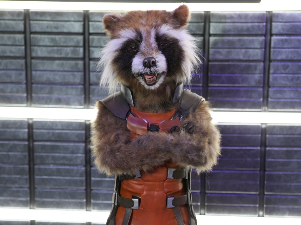 Main image for Rocket Raccoon returns to Madame Tussauds article