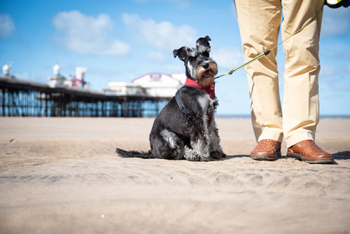 Rosie at Blackpool Beach