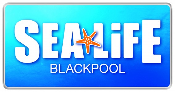 Main image for Spooky Halloween arrival at SEA LIFE Blackpool article