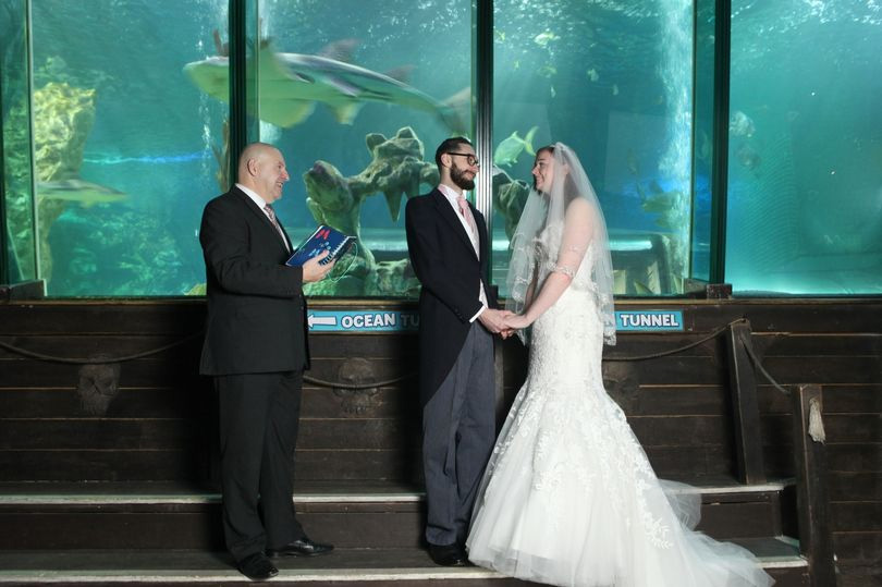 Main image for Taking the plunge as Sea Life Blackpool launches official ‘underwater wedding’ package. article