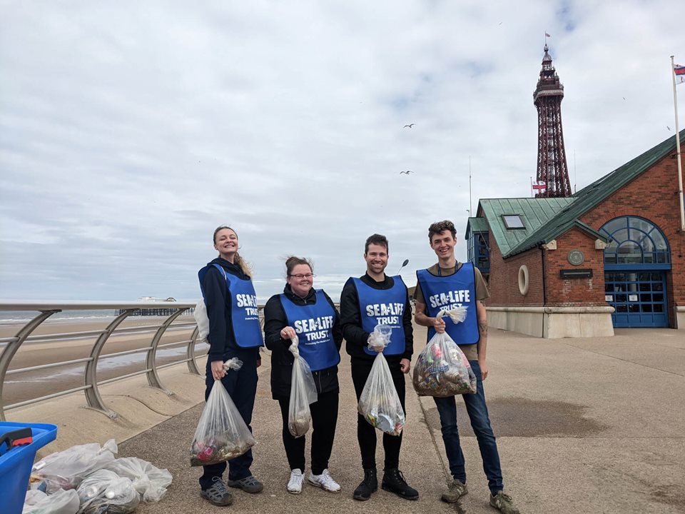 Main image for SEA LIFE Beach Clean 2023 article