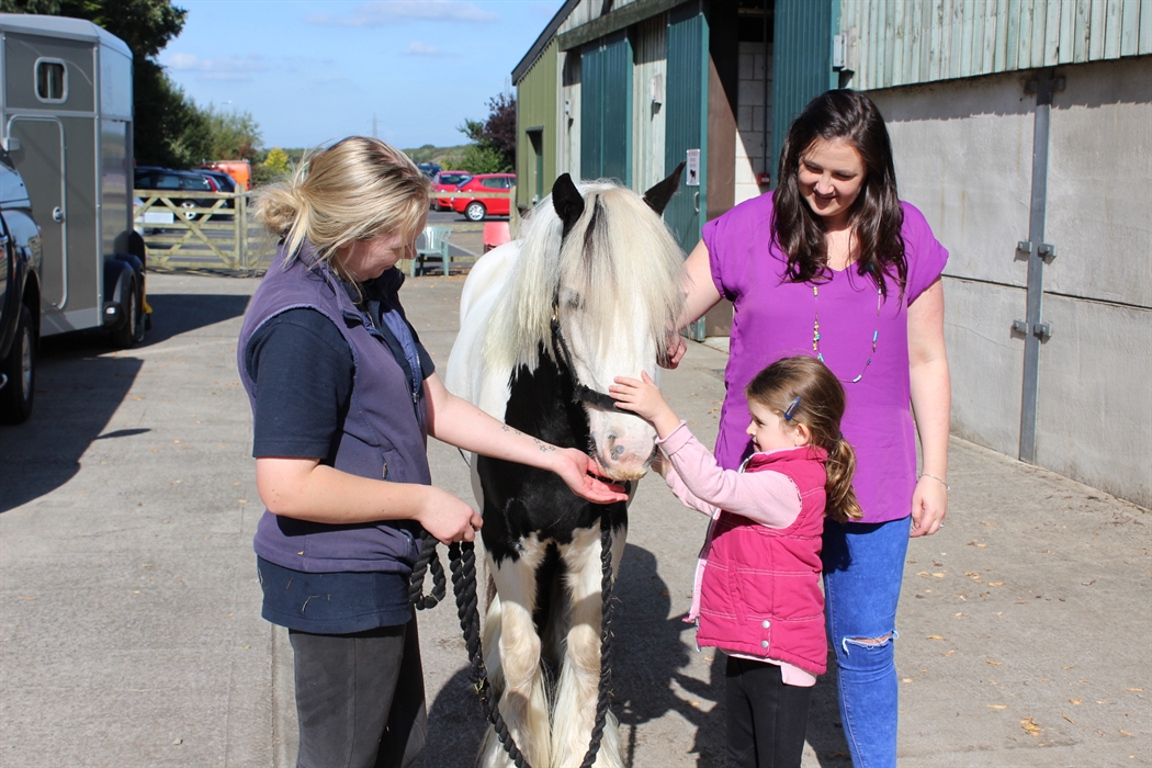 World Horse Welfare Penny Farm