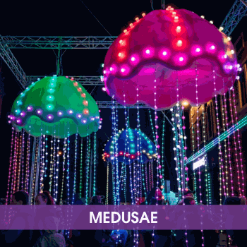 Medusae Lightpool Festival