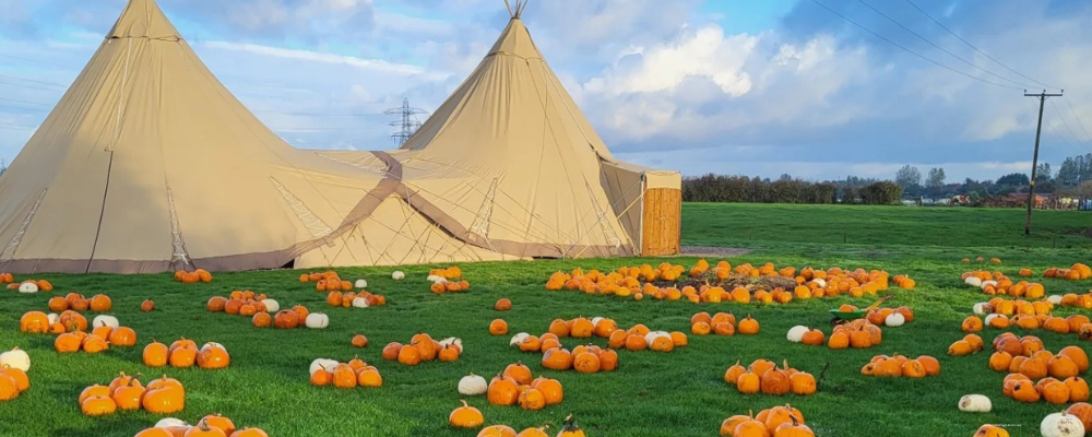 Ridgeway Farm Pumpkin Festival