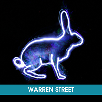 Warren Street Lightpool Festival 2024